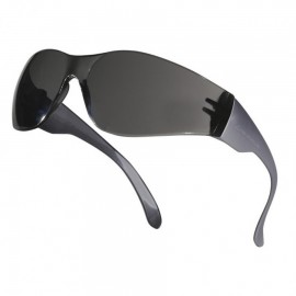 BRAVA2 apsauginiai akiniai, tonuoti lęšiai ir rėmeliai, Delta Plus